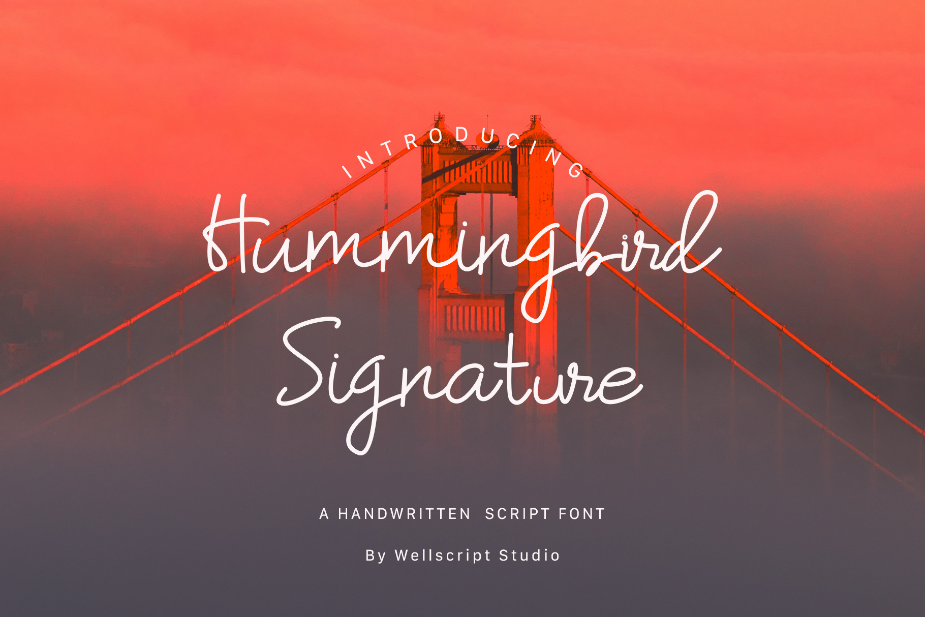 Hummingbird Handwritten Font by wellscriptstudio GraphicRiver